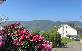 Ferienwohnung Rhein-Panorama